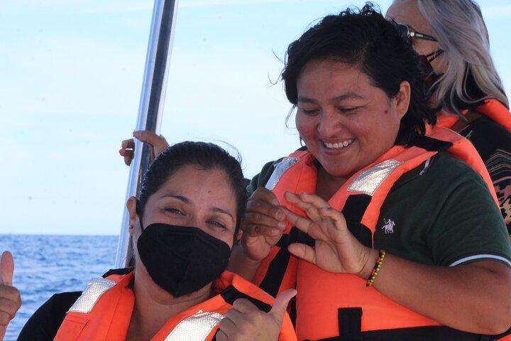 Whale Watching with Hydrophone in Cabo San Lucas