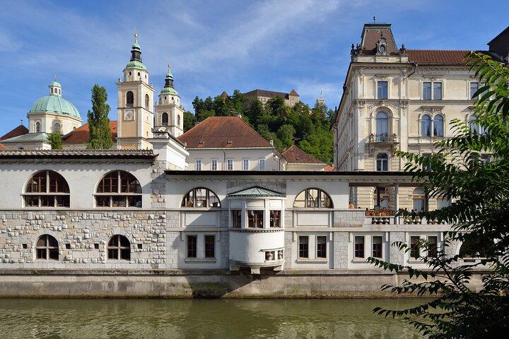 Private Ljubljana Walking Tour: Old Town, UNESCO & Market