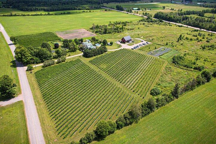 Full Day Pontiac Wine & Cider Tour - Day Trip From Ottawa & Gatineau