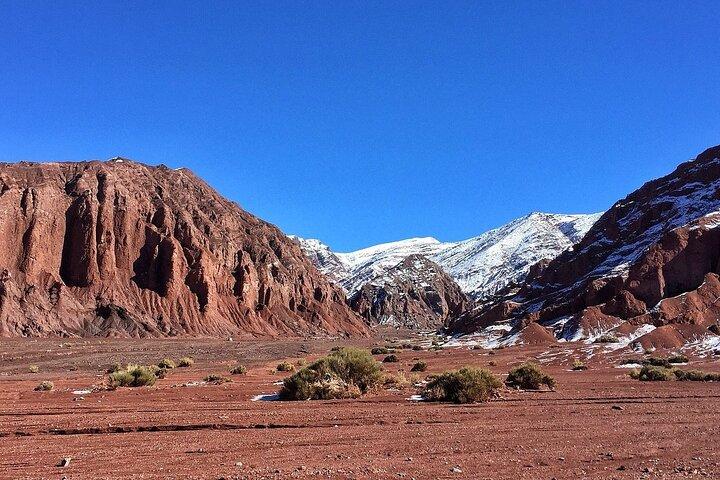 Excursion to Rainbow Valley and Petroglyphs, Yerbas Buenas