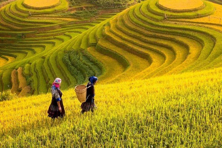 2 Days 1 Night Stay Sapa Trekking Tours