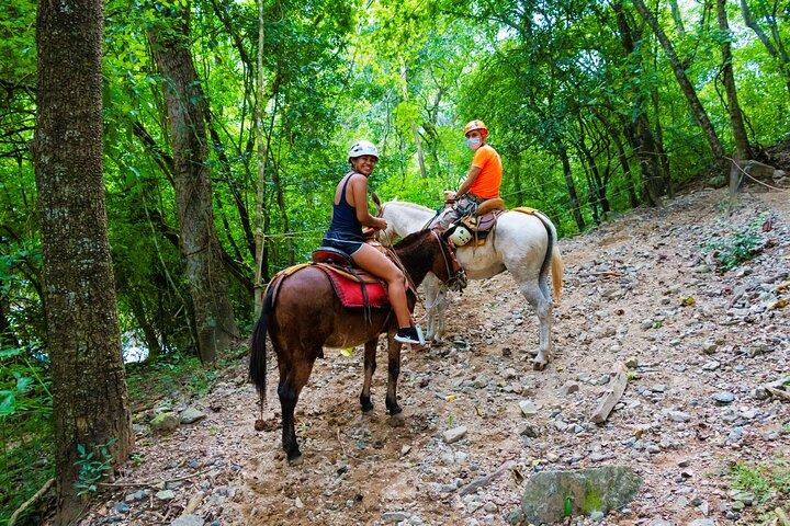 Puerto Vallarta Canopy Tour:Zip-lines and mule ride at the Sierra