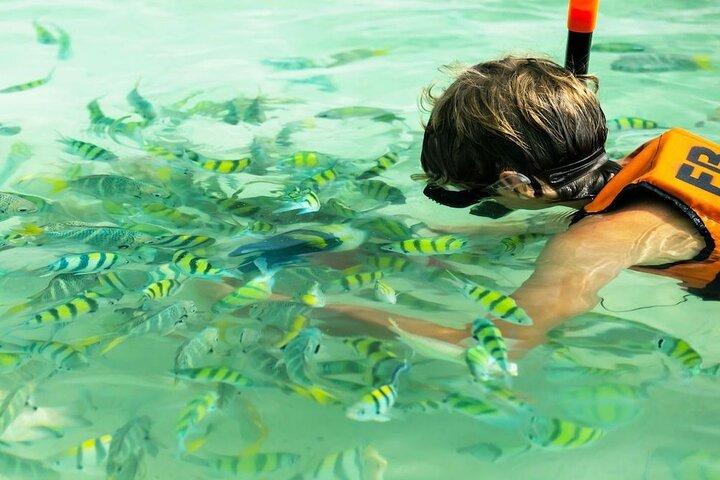 Banana Beach Snorkeling Adventure: A Day in Paradise