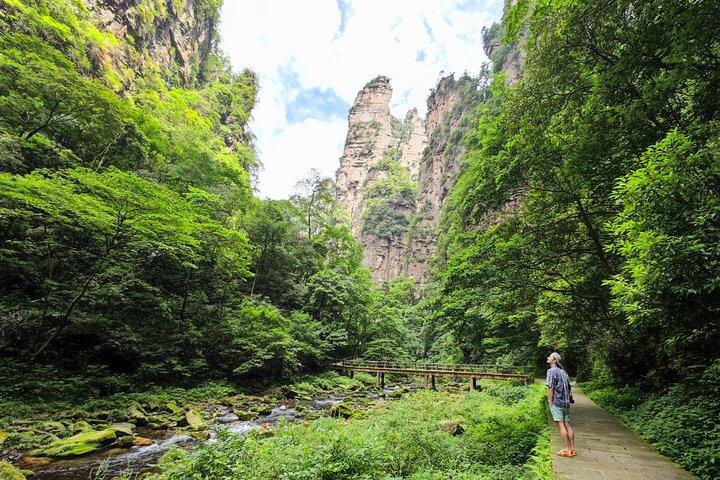 1 "Pandora" Day Trip-Zhangjiajie National Park(Avatar Mountain Scenery)