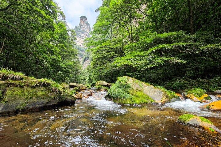 1 "Pandora" Day Trip-Zhangjiajie National Park(Avatar Mountain Scenery)