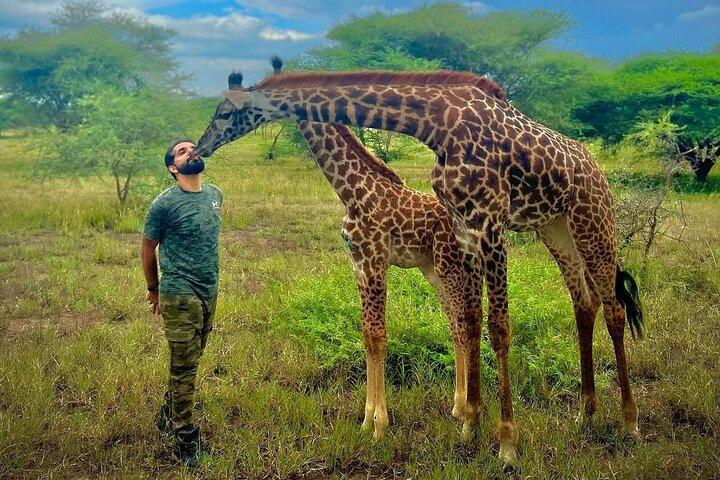 1Day Visiting Wildlife farm and Materuni waterfalls