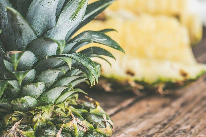 Maui Pineapple Farm Tour in Haliimaile