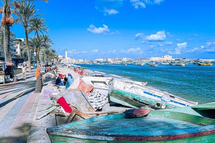 Private Day Tour to Alexandria from Cairo with Guide