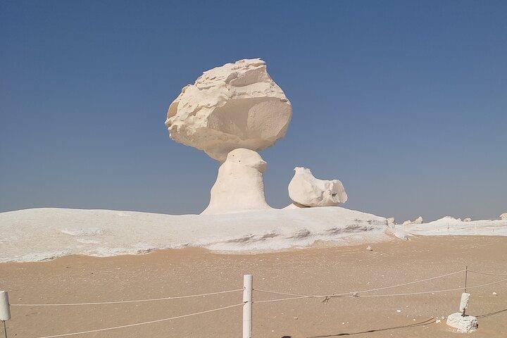 Black, White Desert and Bahariya Oasis Private Over night Camping