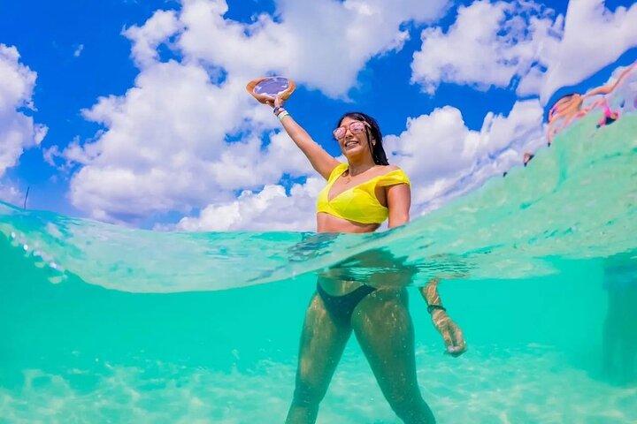 Underwater Snorkel Experience day in Cozumel with Transportation from Cancún