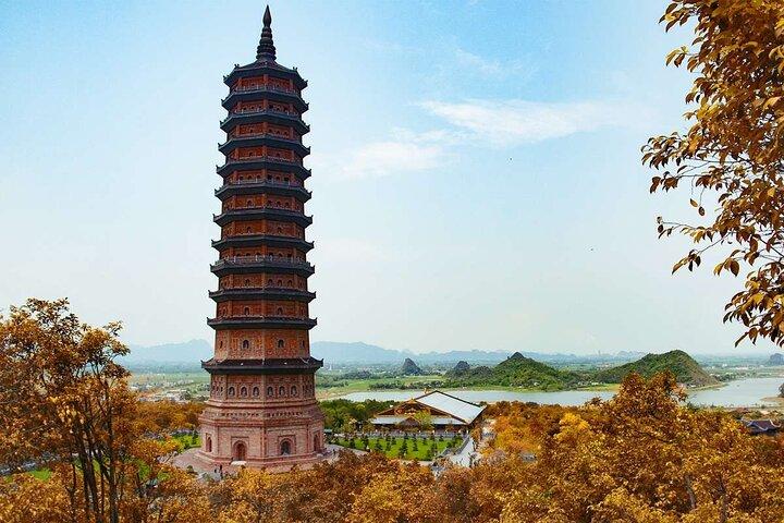 Ninh Binh 2D1N: Hoa Lu - Trang An - Mua Cave & Bich Dong - Thai Vi - Bird Farm
