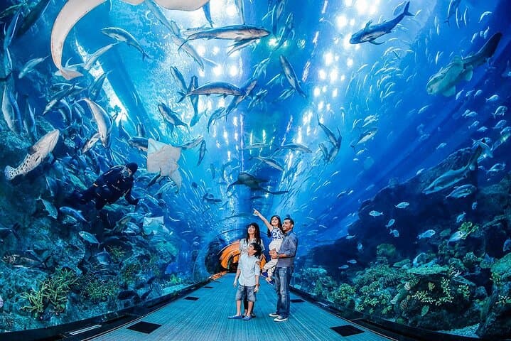 Dubai Mall Aquarium & Underwater Zoo Ticket with Private Transfer