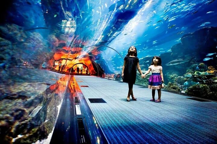 Dubai Mall Aquarium & Underwater Zoo Ticket with Private Transfer