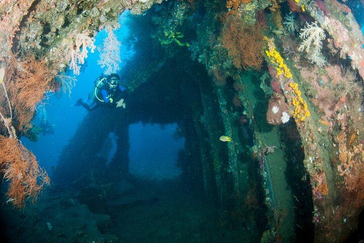 Day Trip for certified divers - 2 or 3 Dives in Tulamben (pick up in South Bali)