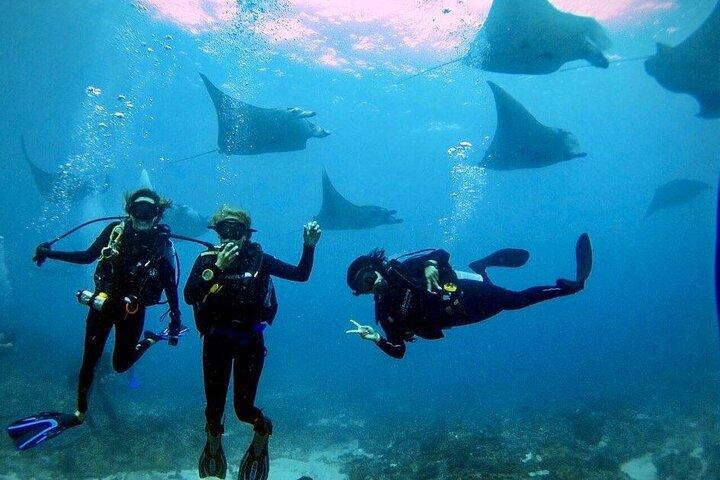 Day Trip Discover Scuba dive in Nusa Penida 2 dives (From Sanur - South Bali)