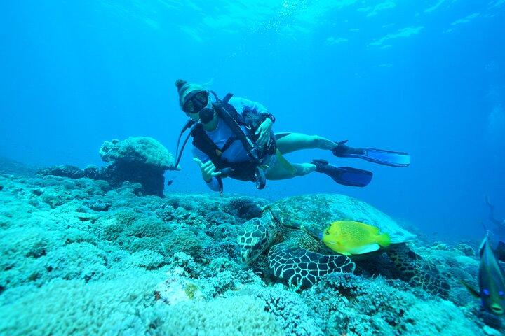 Day Trip Discover Scuba dive in Nusa Penida 2 dives (From Sanur - South Bali)
