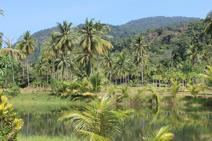 4 Days Iquitos Peru Tour