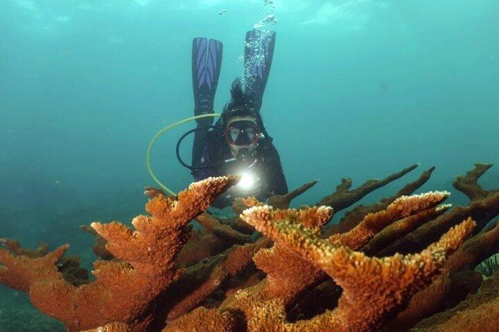 Scuba Tour for Certified Divers in San Juan