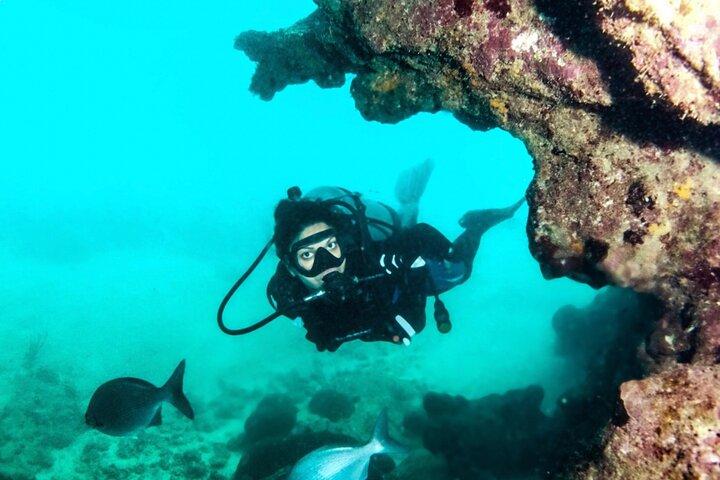 Scuba Tour for Certified Divers in San Juan