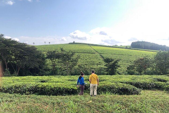 The Best 1Day Jinja Tour & source of the Nile River Experience