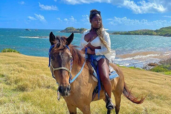 Private Beach Picnic Horseback Ride with Sandy Hoofs St. Lucia