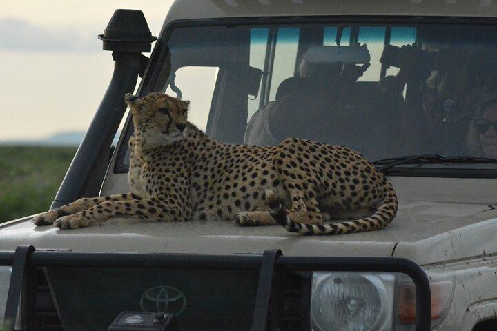 4-Day Small-Group Tour of Tanzania