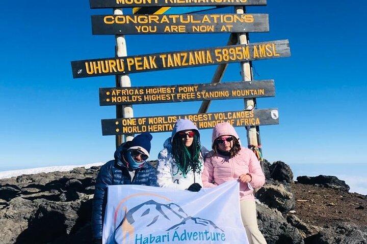Kilimanjaro Climbing Lemosho Route 8 Days.