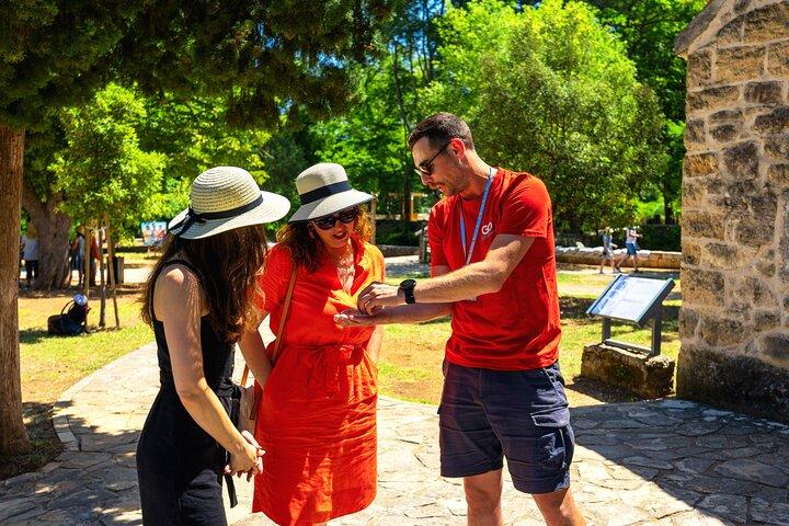 From Split: Krka Waterfalls Tour