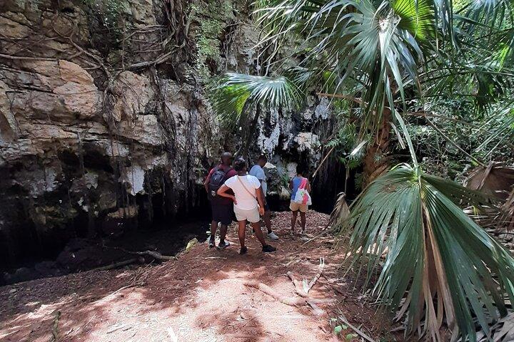Tom Moores Jungle and Eco Tour