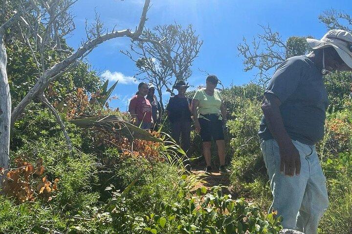 Tom Moores Jungle and Eco Tour