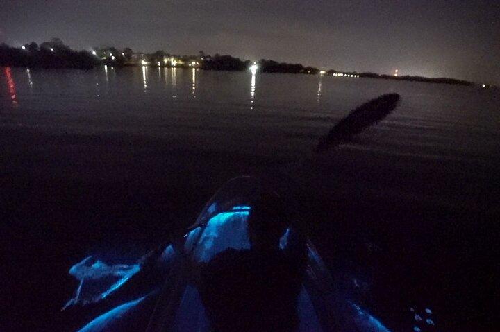 Clear Kayak Bioluminescence Tour