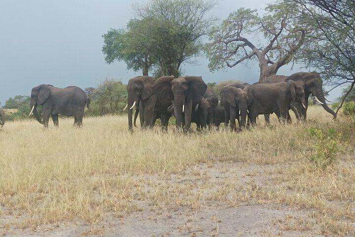4-Day Small-Group Tour of Tanzania