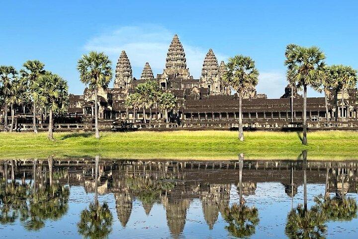 Angkor Wat & Ta Prohm Jungle Temple Half-Day Afternoon Tour