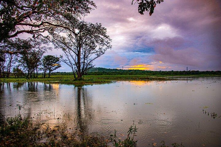 02 Days Private Dambulla & Habarana Tour With Village Experience From Colombo