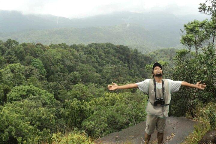 Private Day Trip To Sinharaja Rain Forest From Colombo