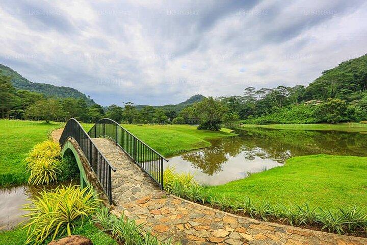 Seethawaka Botanical Garden Day Tour From Colombo With Lunch