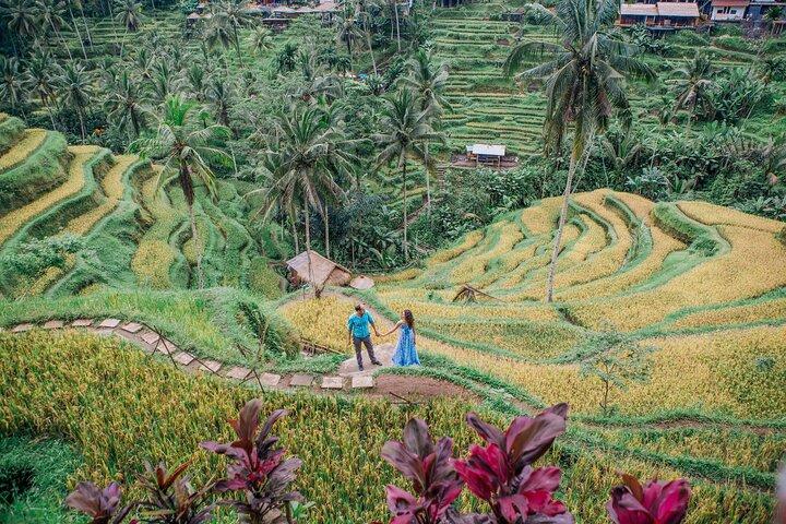Ubud Greatest Tour: All-In-One Bali Experience