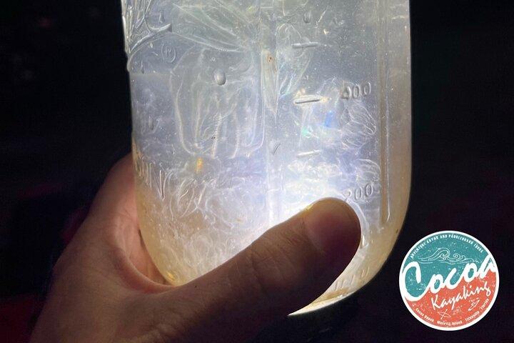 Bioluminescent Clear Bottom Kayak or Paddleboard Sit-On-Top Kayak Hybrid Tour!