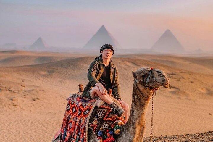 Tour to Pyramids, the Egyptian Museum and Sound & Light Show