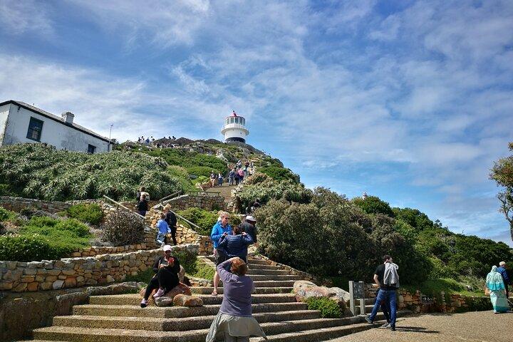 Best of the Cape Full Day Private Tour
