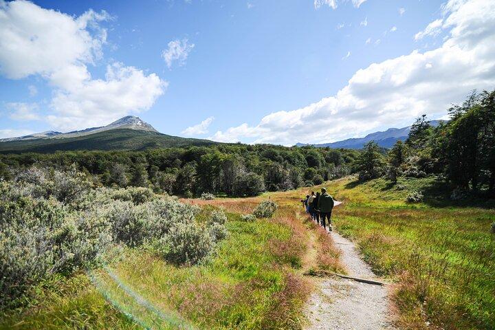 Half-Day Tierra del Fuego National Park with Lunch and Drinks