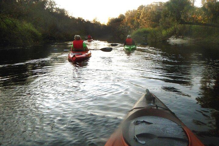 Manatee and Dolphin Kayak Tour - Wildlife Refuge (Titusville)