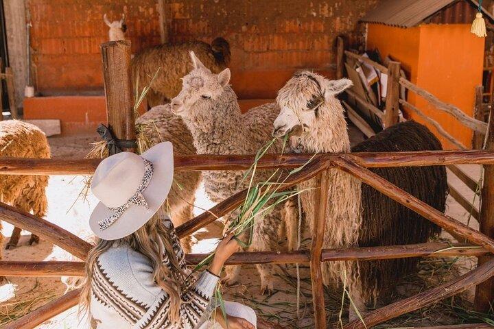 The Ultimate Full Day Sacred Valley Tour
