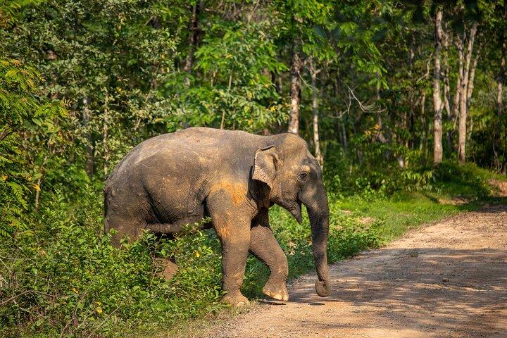 2-Days Private Tour: Kui Buri Wildlife Safari & Sam Roi Yod National Park