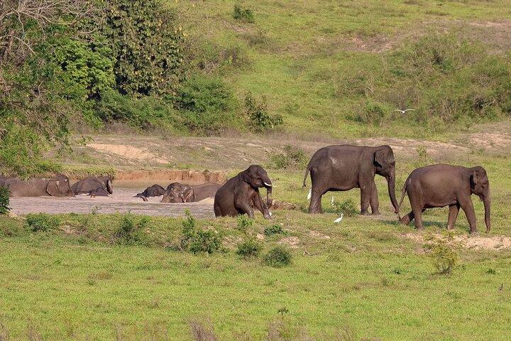 2-Days Private Tour: Kui Buri Wildlife Safari & Sam Roi Yod National Park