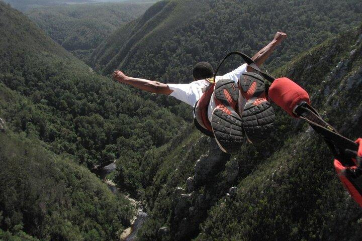 3 Day Garden Route Tour