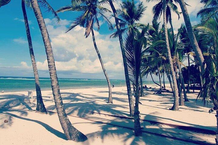 9-Days Bush and Beach Private Experience