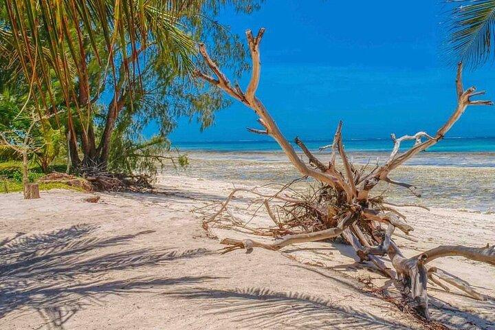 9-Days Bush and Beach Private Experience