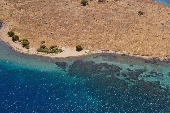 Orak island Boat Tour - Lunch included