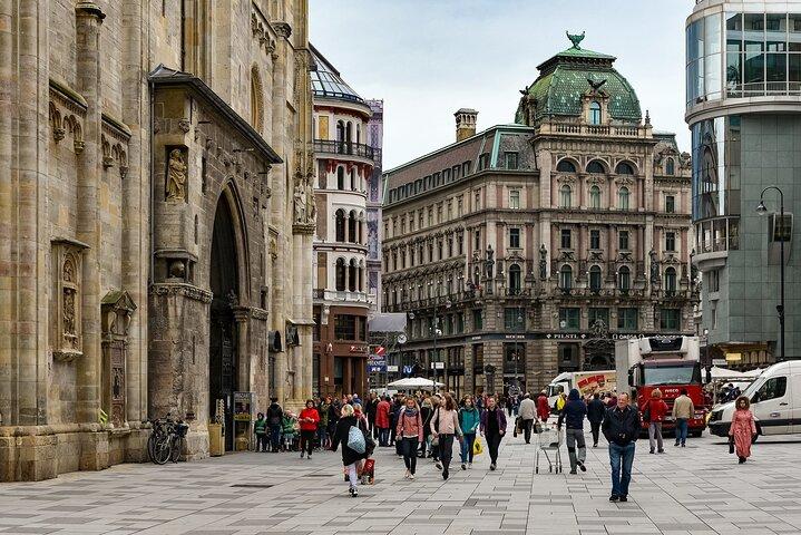 Vienna Private Walking Tour with a Local